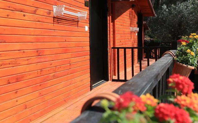 Robina Bungalov