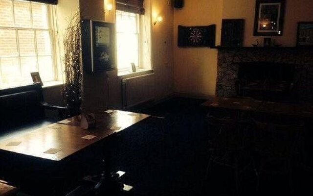 The Swan