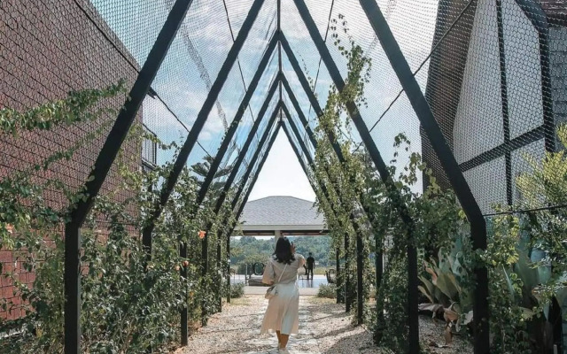 Oxy Resort