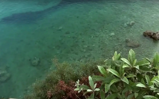 Margarita Apartments Barbati