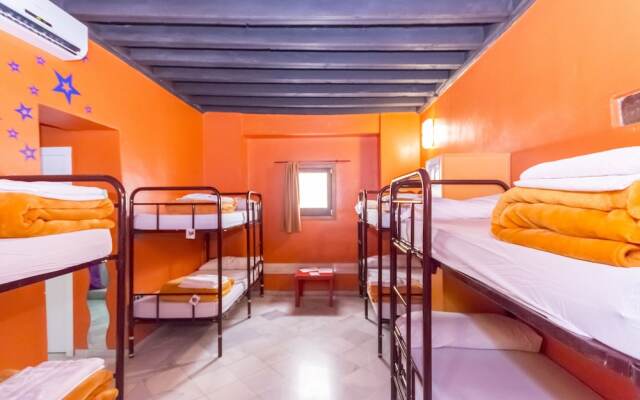 White Nest Hostel