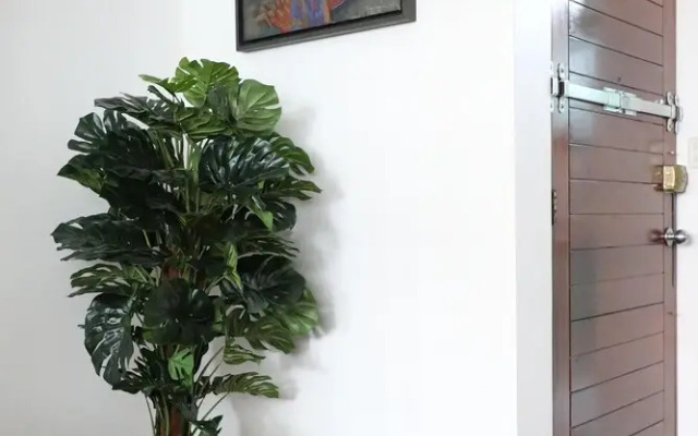 Incredible Apartment Blocks Away From The Malecon!