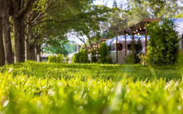 Bon Chill Glamping By Cosmos Oasis