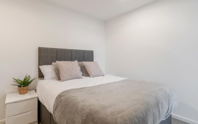 Sunny and Spacious 2BR Apartment