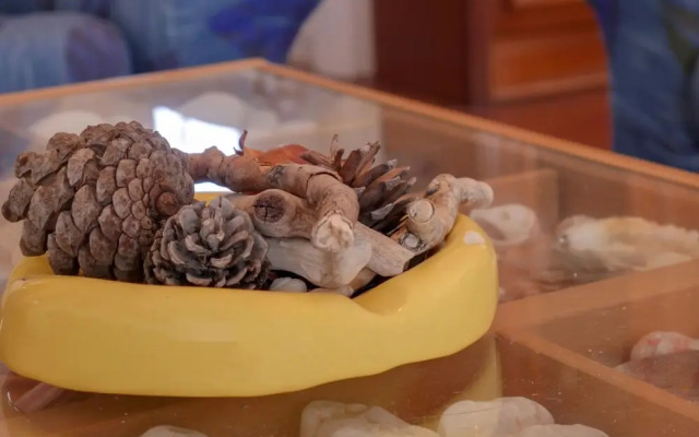 Cosy House Boat in Platanidia with Swimming Pool