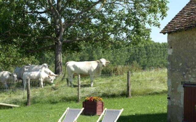 Gîte Pervenchères, 4 pièces, 6 personnes - FR-1-497-49