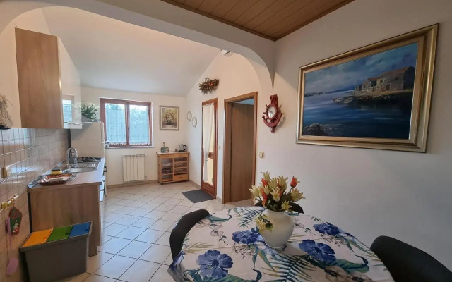 Apartments Jana