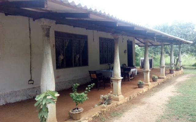 Yoho Mango Tree Home Stay & Hostel