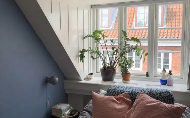 Central apartment