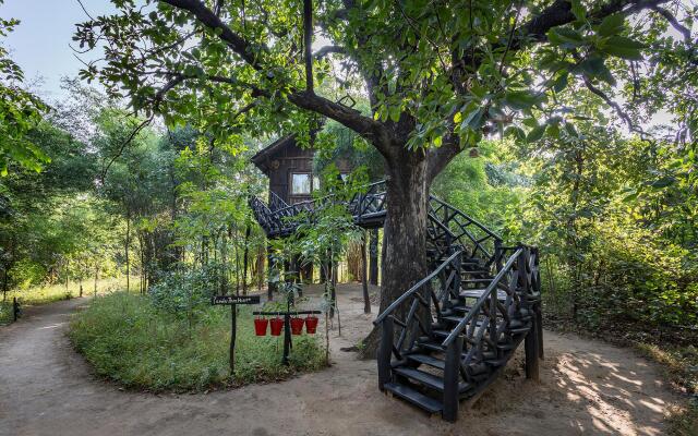 Pugdundee Safaris- Tree House Hideaway