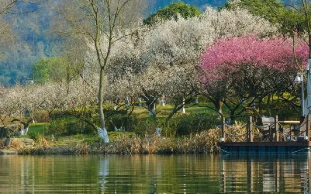 Hangzhou Shuimo Zhuang Private Home Forest Hotel (Chaoshan Scenic Area)