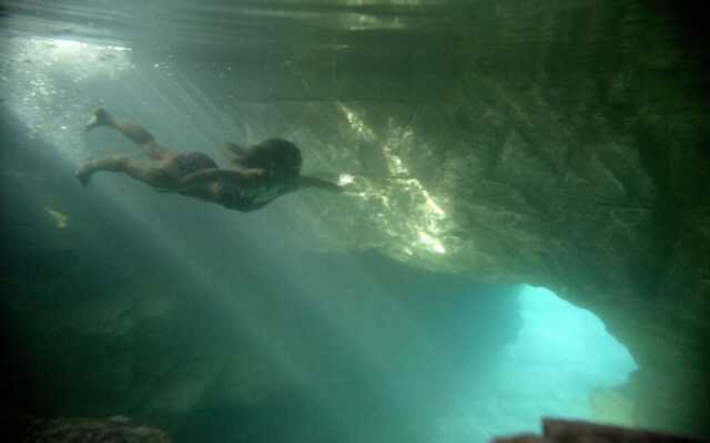 Shenstone Motor Inn & Restaurant