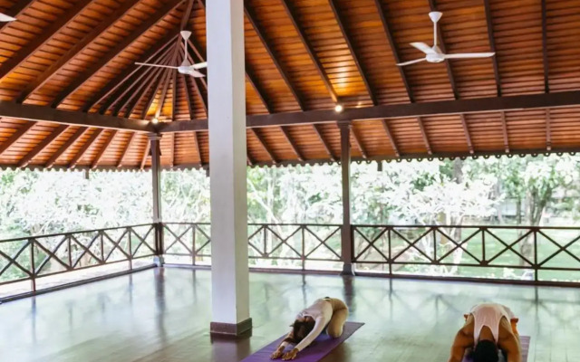 Cinnamon Lodge
