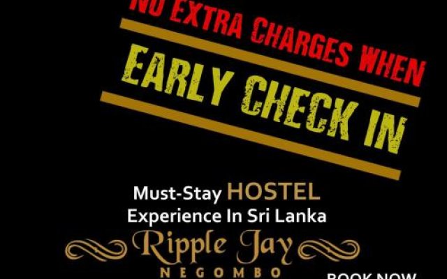 Ripple Jay @ Negombo Hostel