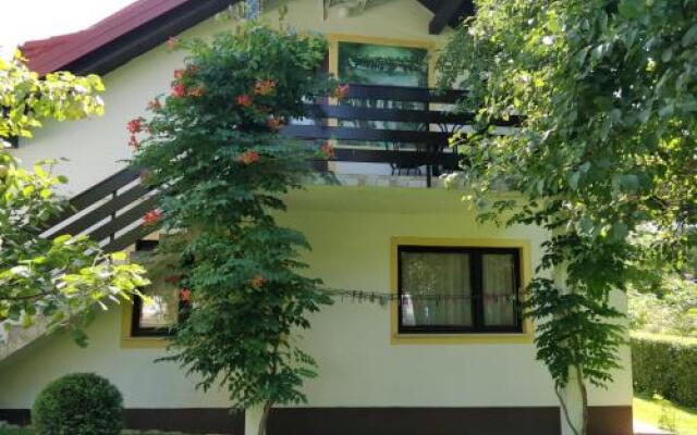 House Pavlic