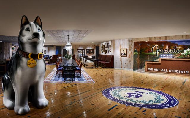 Graduate by Hilton Storrs