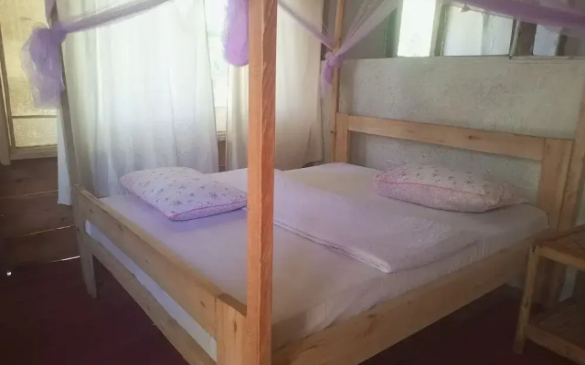 Little Monkey Camp