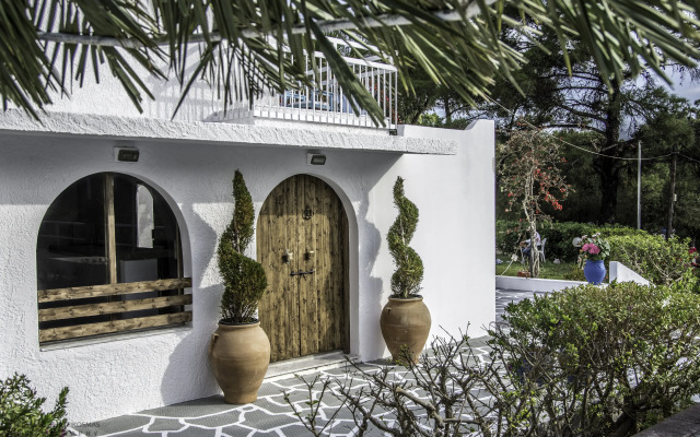 Trees Art Boutique Hotel