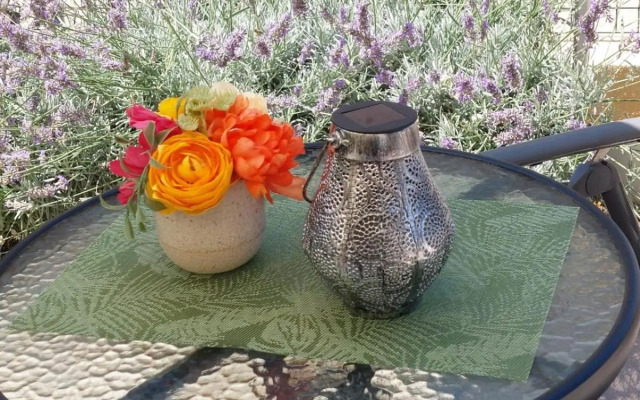 Ruža Apartmani Zadar