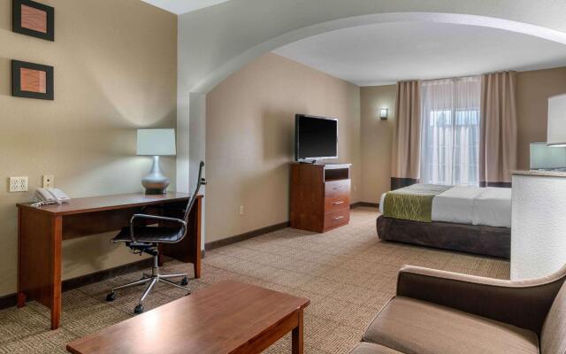 Comfort Inn & Suites Sacramento - University Area