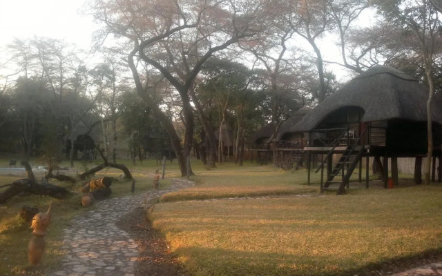 The Tree Lodge at Sikumi