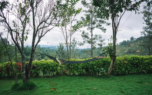 MF Estate Holiday Bungalow