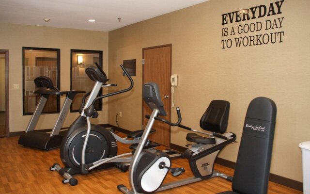 Comfort Inn Ellsworth - Bar Harbor