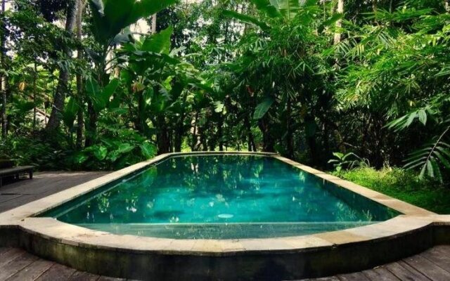 Shanti Toya Ashram & Retreat Center