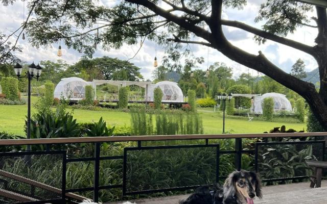 Oh La La Glamping Khaoyai