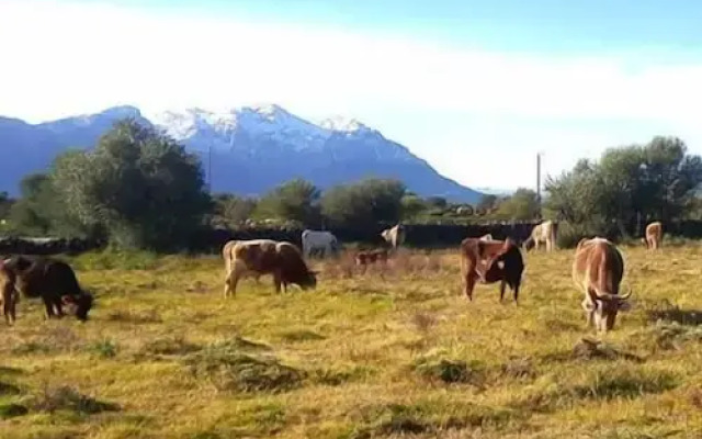 Agriturismo Iloghe