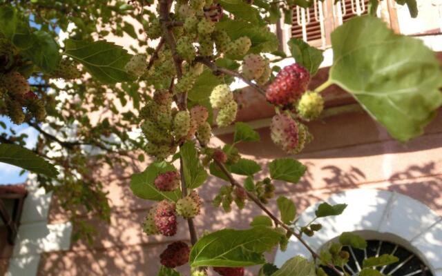 Agriturismo Cuca