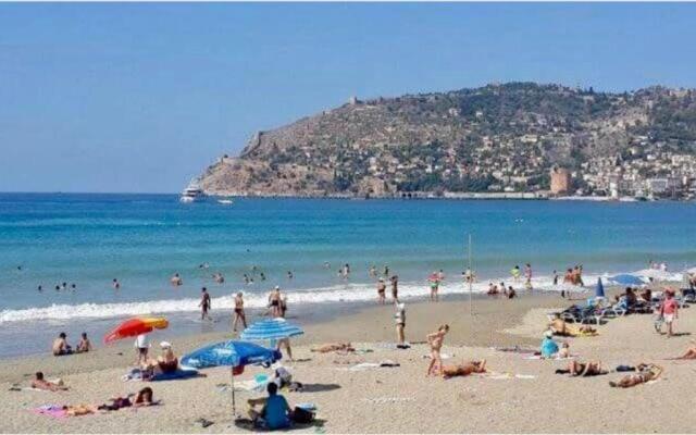 1+1 new cozy apartment in the Center of Alanya.
