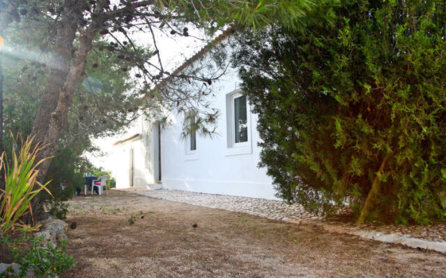 Holiday Home Quinta De Santa Teresinha