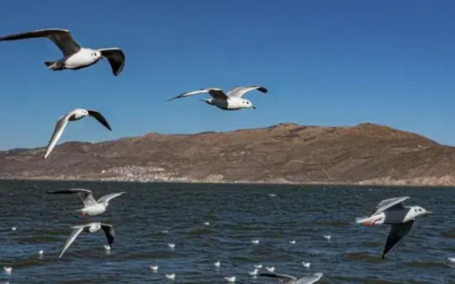 Dali Six Shangpin Homestay (Gucheng Fuxing Road)