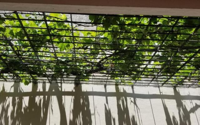 Hostel Hostal Caballito Blanco