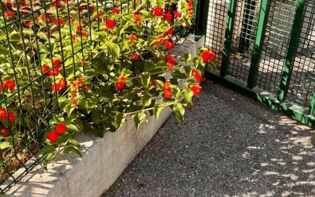 Le Val D'Azur