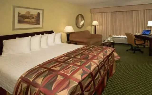Holiday Inn Houston-Near The Galleria