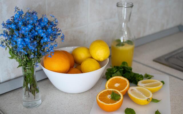 Апартаменты на улице Роз, 58