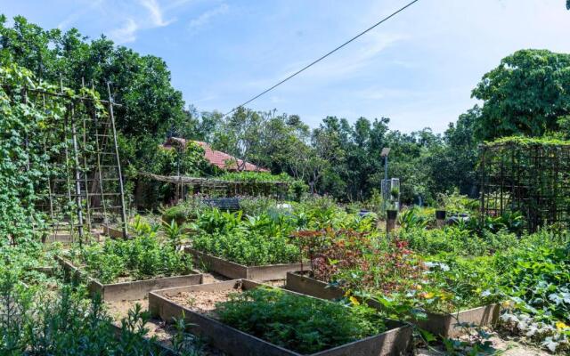 Thai Gia Trang Farmstay