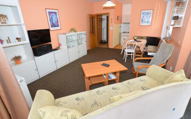 Snug Apartment in Jachymov near Ski Area