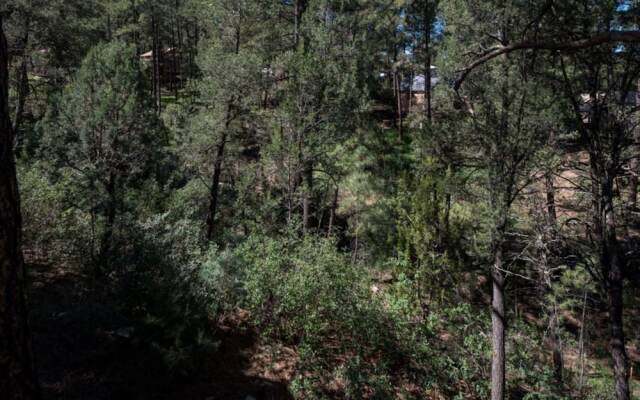 Ruidoso Two-bedroom