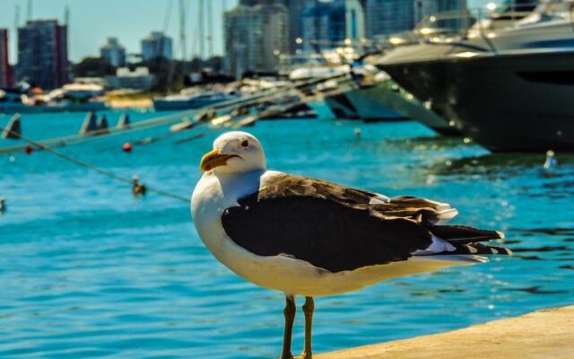 Increible Vista al mar Centro de Punta del Este