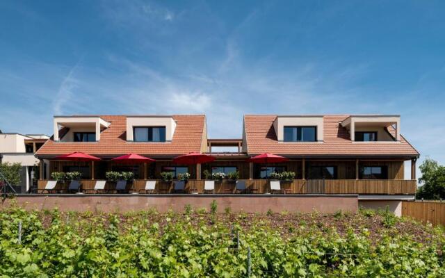 James Vignoble Hotel - Eguisheim