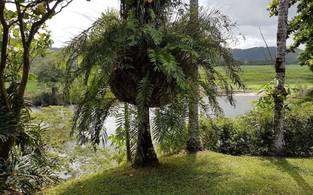 Daintree Village Bed and Breakfast