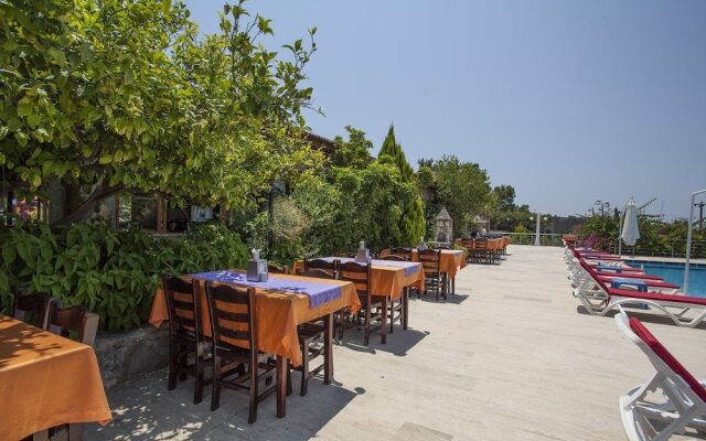 Silver Pine Hotel