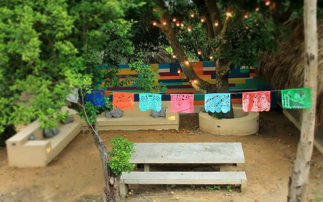 Color Hostel Palomino