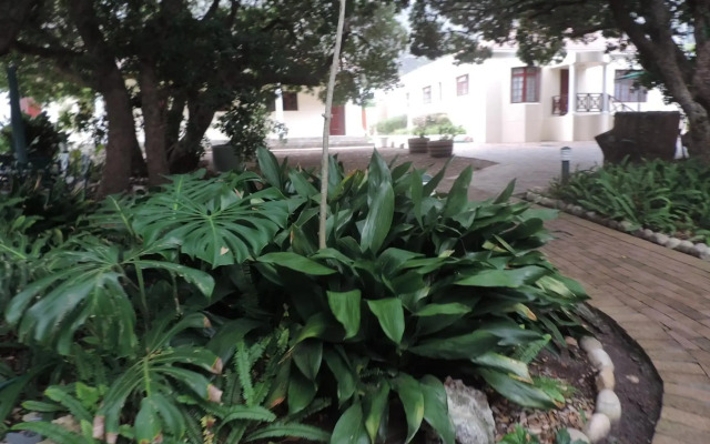 Milkwood Lodge - Hermanus