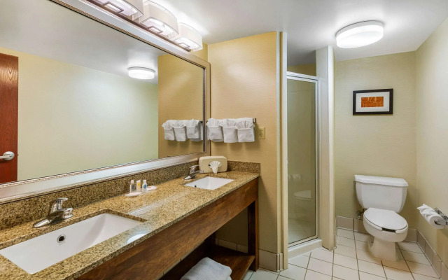 Comfort Suites Manassas Battlefield Park