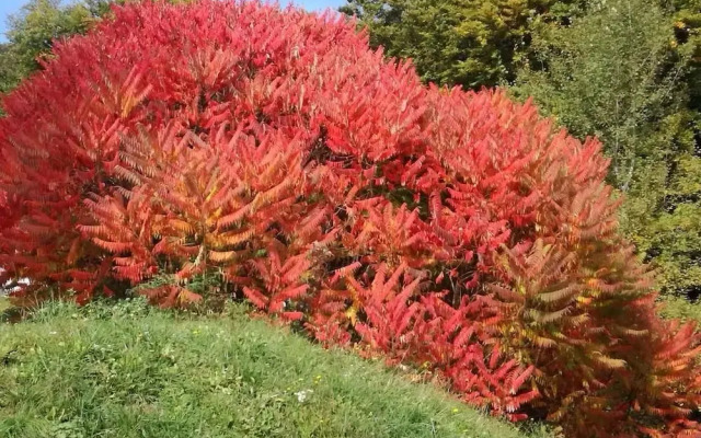 Albergo Miramonti La Pozza