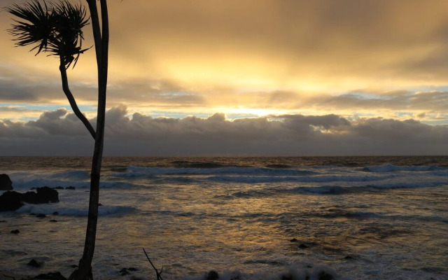 Tanna Horizon Bungalows & Tours